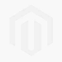 DJI AGRAS T20P  ( Pre-order)