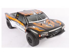 King motor rc cars on sale